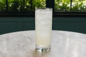 Gin Fizz